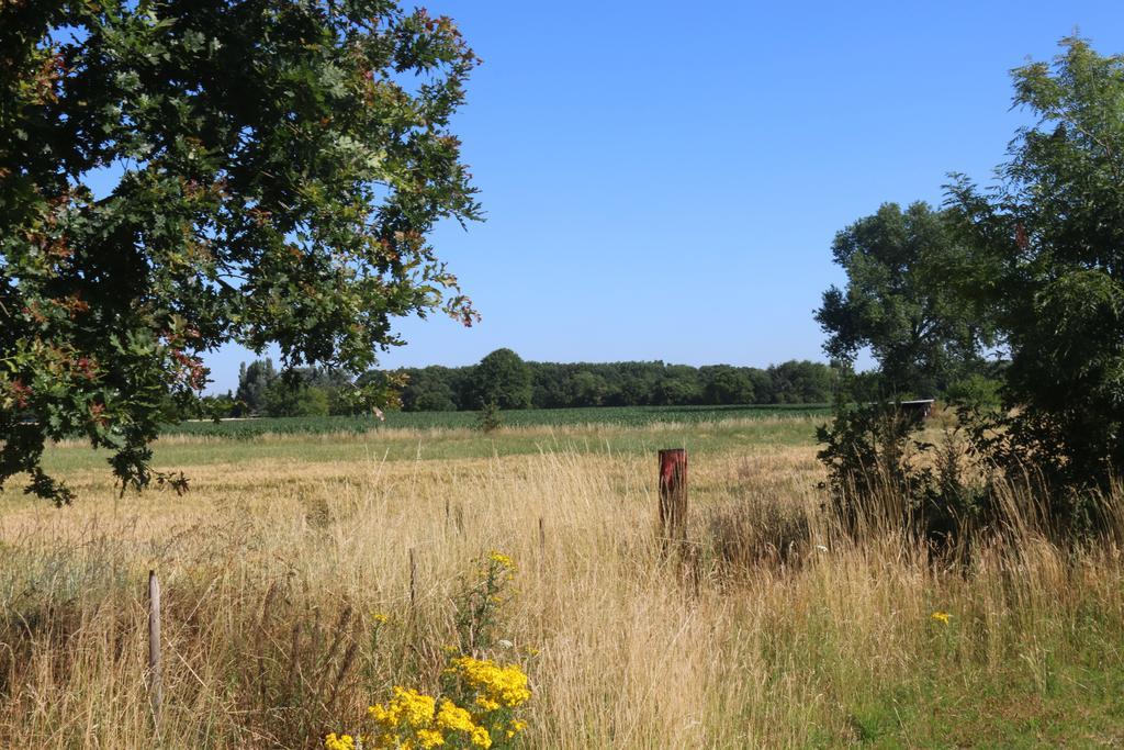 Gastenlogies Blauwe Schaap Ranst Exterior photo